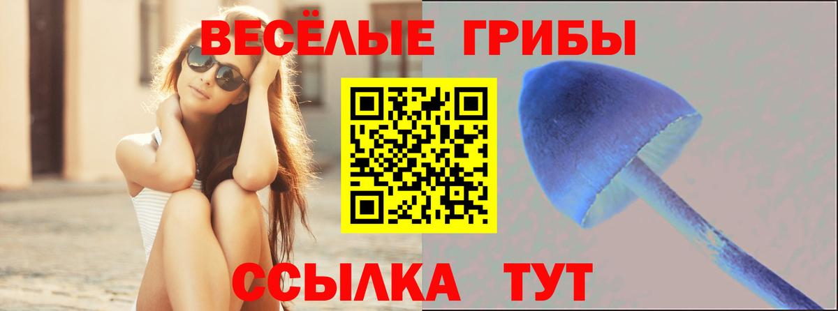 Псилоцибиновые грибы Psilocybine cubensis Ленинск-Кузнецкий